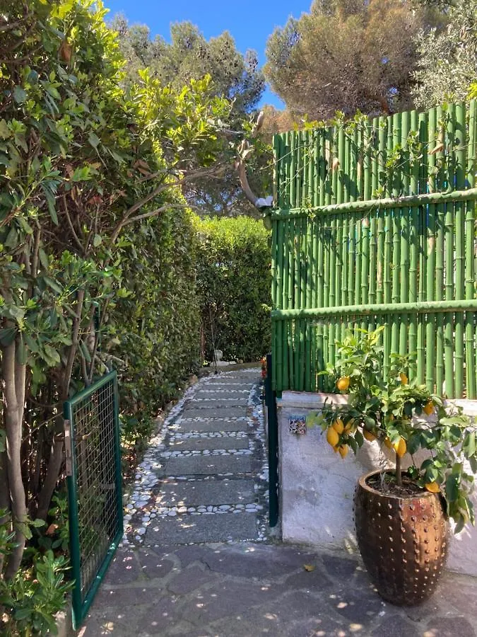 Oasi Del Cuore - Graziose Camere Con Vista Mare A 7 Min Dal Mare Di Castiglioncello 0*,